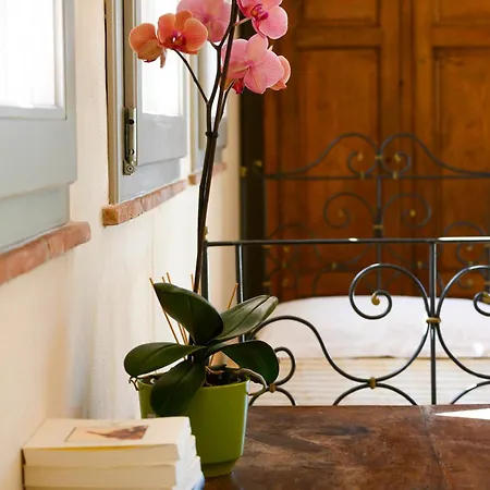 Apartman Barn In